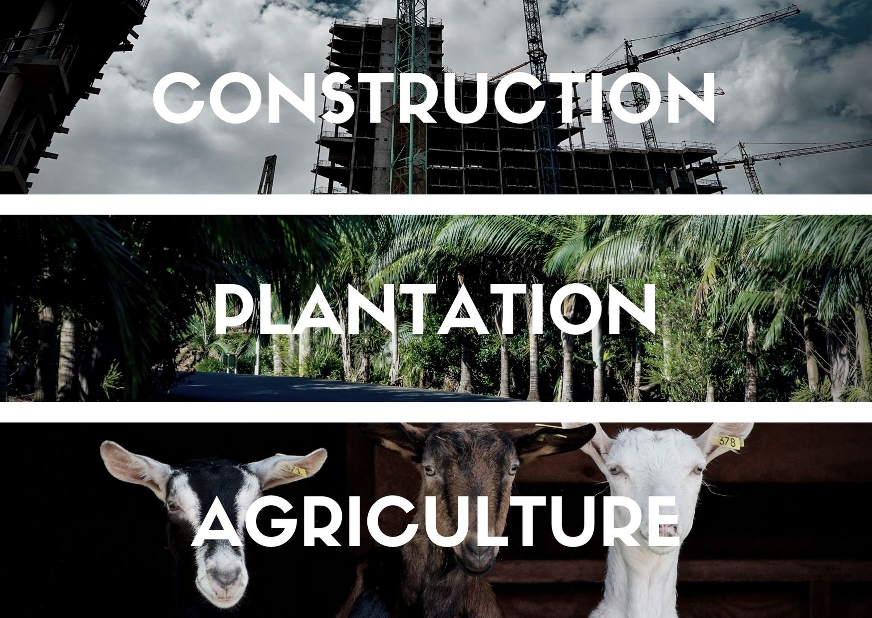 foreign workers sectors